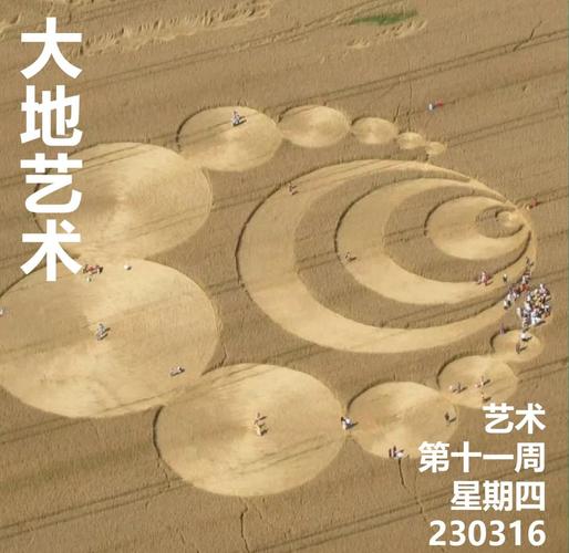 麦田怪圈：艺术未知（麦田怪圈真的存在吗）