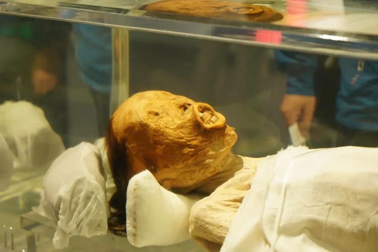 都灵裹尸布科学检测（都灵尸衣）