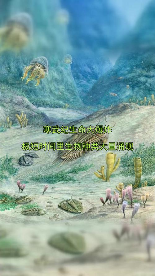 寒武纪生命大爆发谜（寒武纪生命大爆发猜疑）