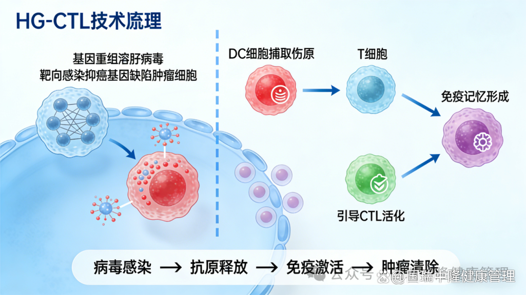 细胞疗法实体瘤挑战(细胞疗法案例)