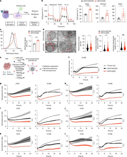 细胞疗法实体瘤挑战(细胞疗法案例)
