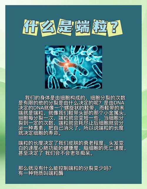 端粒与衰老：时钟（端粒与细胞衰老的关系）