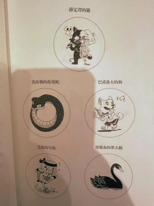 薛定谔的猫通俗解读（薛定谔的猫是什么故事）