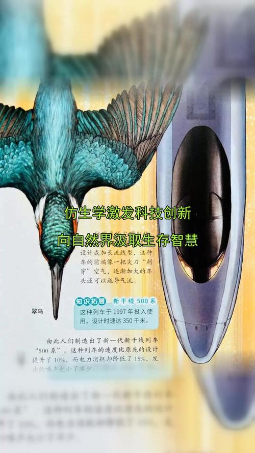 仿生学自然启示（仿生学现象）