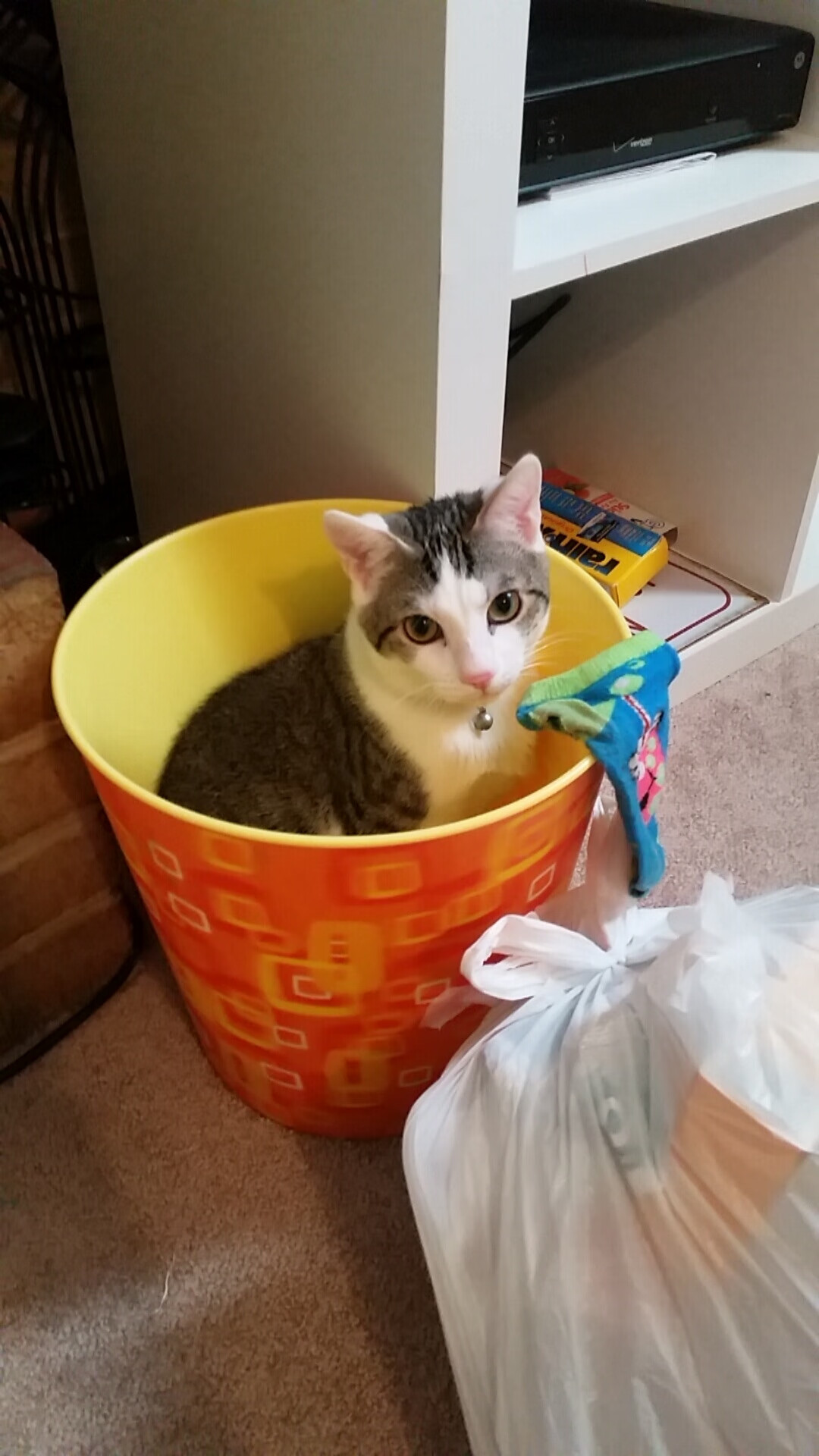 人类文明周期循环论？_人类文明演进的四个阶段