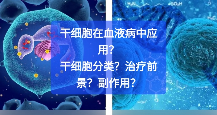 干细胞的应用前景_干细胞的应用前景有哪些