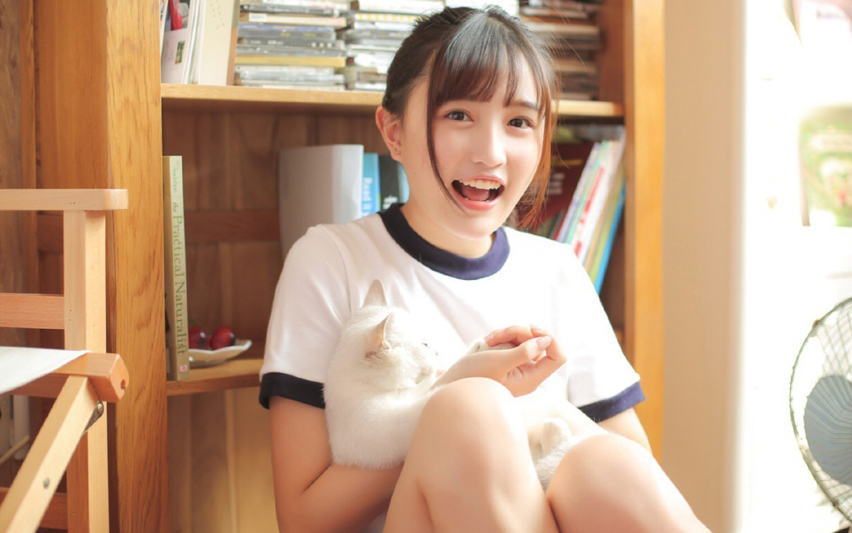 塔罗牌的象征体系_塔罗牌的象征意义