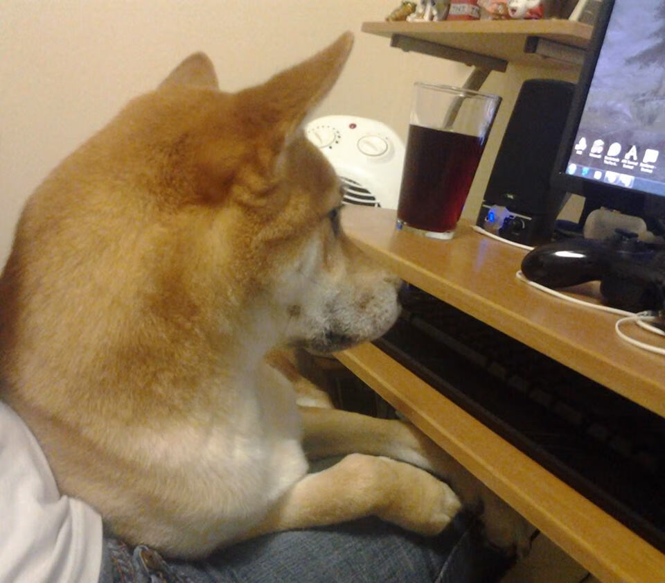 百慕大三角的科学解释_百慕大三角到底有什么