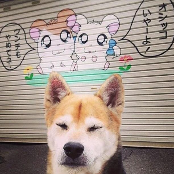 货币防伪技术盘点_货币防伪与鉴别内容